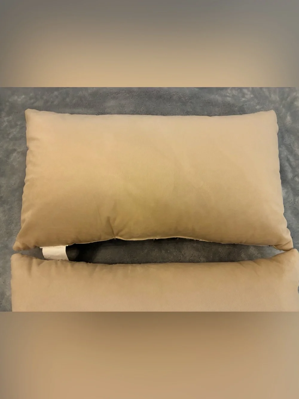 Embellished Decorative Throw Pillow Pair in Beige (2 Pillows)